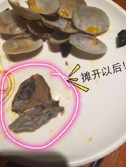 13995768_1200x1000_0