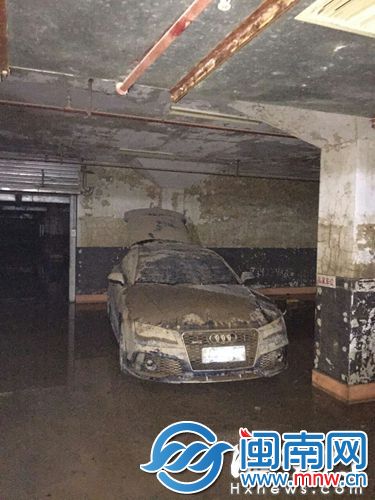 因地下车库进水，奥迪报废了