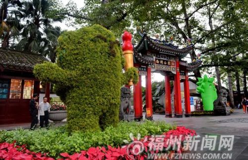 绿&ldquo;榕榕&rdquo;站岗为菊展迎客