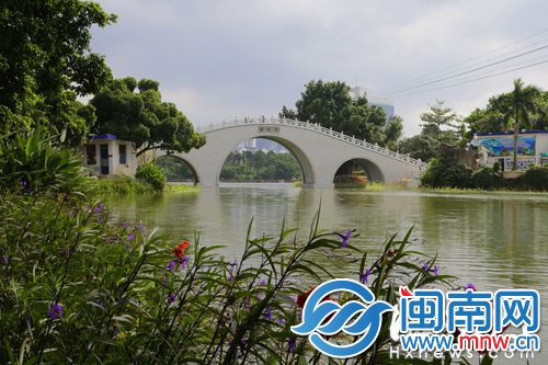 今年国庆，西湖左海水体在翠波桥下连通