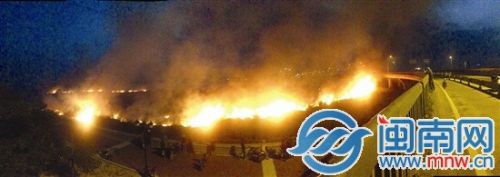 乌龙江湿地公园，过千平方米芦苇丛起火，火光冲天
