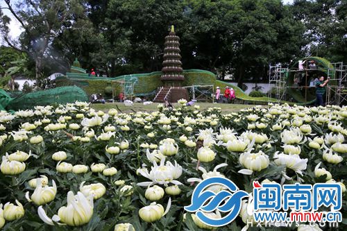 菊展凸显福州特色，包括罗星塔等各式园林布景