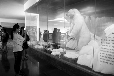 标本馆内展出了国家重点保护的珍稀动物上百种