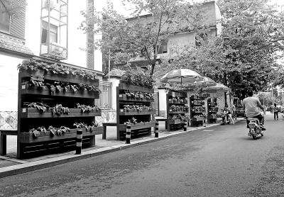 校门口的花圃成了道路的景观之一，被偷很可惜