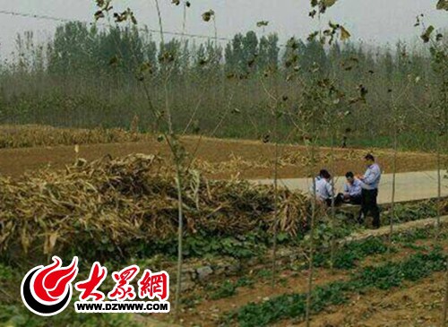 网友爆料称,在平邑某路段,4名身着警服的人员围在一起打牌 大众网