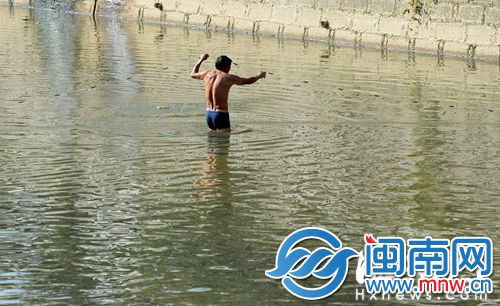 昨日上午8时许，福州琴亭湖边的内河里，四名男子正在河中涉水，其中三人仅穿一件短裤，在河中网鱼（如图）。