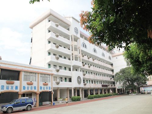 1953 年3 月10 日龙溪县实验小学启用的印章