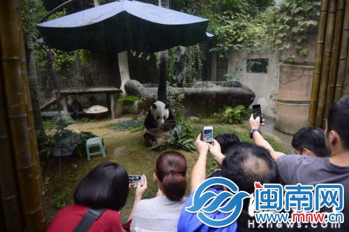 可爱的巴斯就要35岁啦