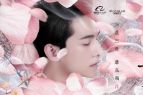 杨洋饰夜华搭“白浅”刘亦菲 电影《三生三世》演员海报曝光