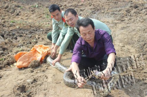 蟒蛇最终被陈师傅和民警制服,放归大山