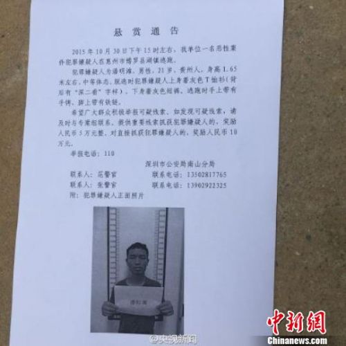 悬赏通告