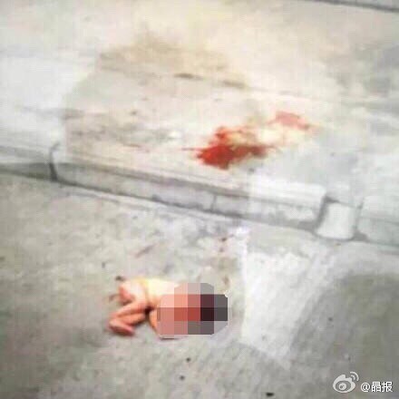 现场图