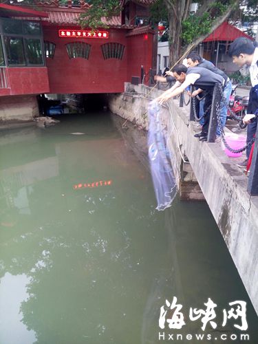 铜盘河有人笼网爪钩“围捕”红鲤 破坏和谐场景