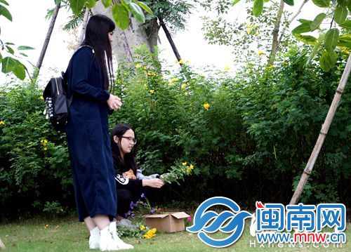 沙滩公园内花开正艳,却有人剪下装箱带回去插花