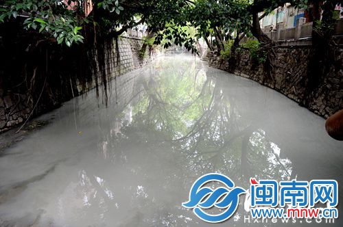 今年9月4日，安泰河被污染成&ldquo;白河&rdquo;