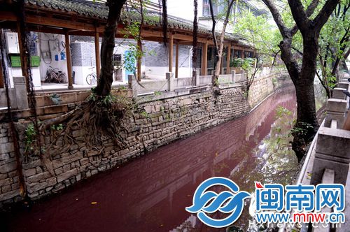 10月30日，安泰河被污染成&ldquo;红河&rdquo;