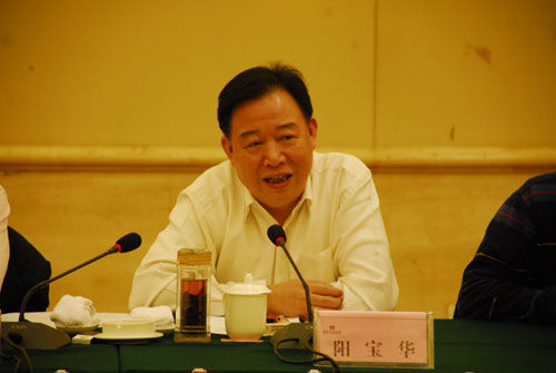 阳宝华