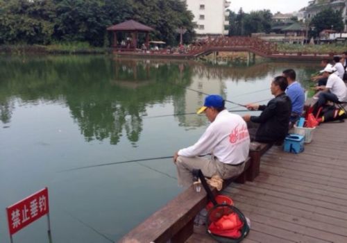 “禁止垂钓”警示牌旁，仍有很多人在钓鱼。（网友供图）