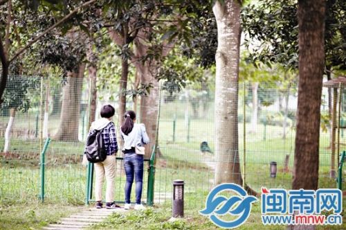 福建中医药大学校园里有个“动物圈” 吸引学生驻足拍照