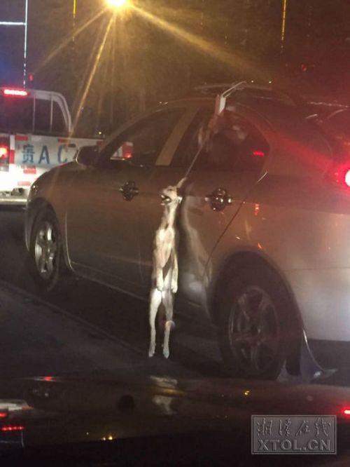 网友&ldquo;水&rdquo;供图