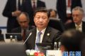 习近平出席G20第十次峰会第一阶段会议讲话全文