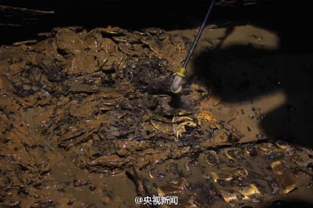 西汉海昏侯墓主椁室西侧现大量金器堆