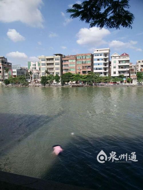 webwxgetmsgimg (9)_副本.jpg