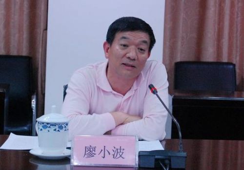 廖小波。资料图