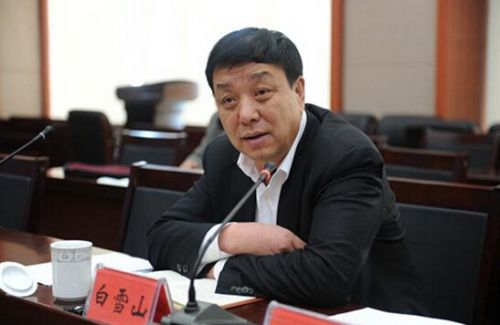 宁夏自治区政府原副主席白雪山