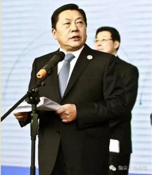 12月15日，中宣部副部长、中央网信办主任、国家网信办主任鲁炜在第二届世界互联网大会“互联网之光”博览会开幕式上致辞。