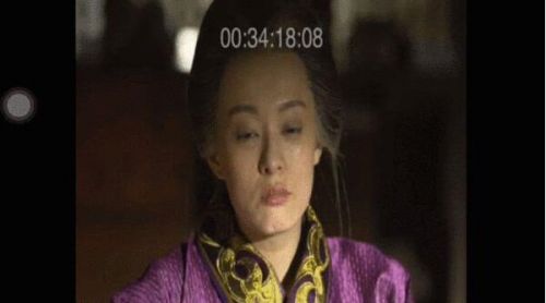 《芈月传》81全集下载资源泄露 网上10元遭贱卖 