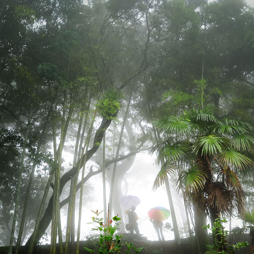 洛江虹山村：彩虹飞瀑寻美景 百年松林造氧吧