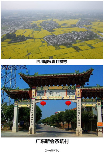 四川青杠樹村、廣東茶坑村