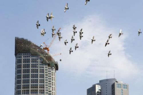 自今年5月份房价止跌回升后，百城住宅均价已经连续八个月出现环比上涨。