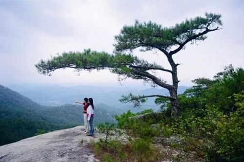 2019长泰县gdp_长泰县黄金蟒(2)