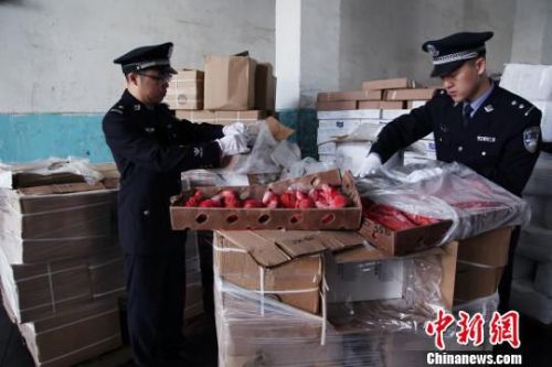 图为黄埔海关提供的海关工作人员查验涉嫌走私的冻海产品图片　林晓薇　摄