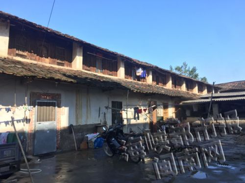 赖某家（画圈处）与小花父母家（最左侧那户）仅一户之隔