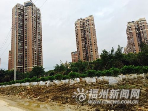 原本规划建设公园的地块上满是渣土和苗木。