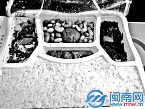 15元一份的红烧狮子头饭