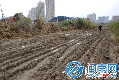 新校区内被偷倒渣土，满地泥泞