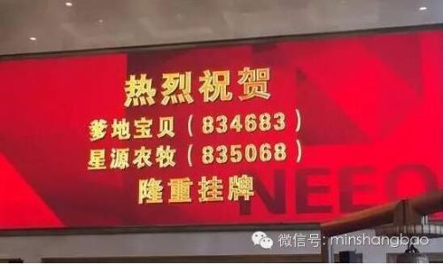 福州一企业敲响上市宝钟 成为中国纸尿裤第一股