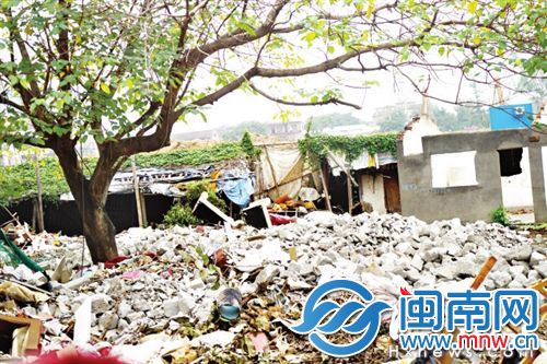 空地上冒出大量垃圾