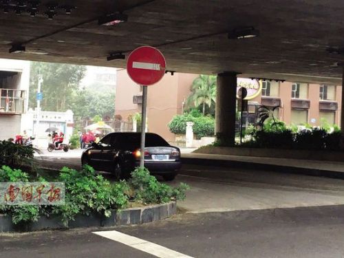 协警坐在树丛后拍摄违法车辆 网友质疑"隐蔽执法"