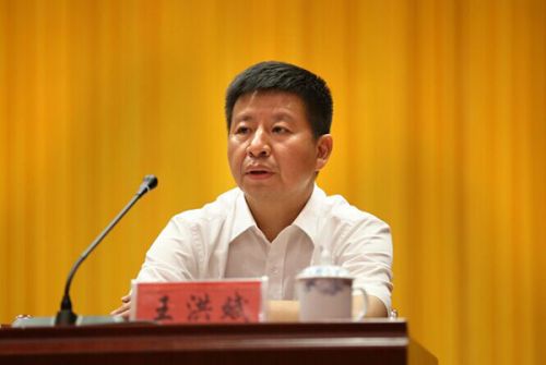 公开简历显示，王洪斌，男，汉族，1967年1月生，大学文化，湖南省华容县人，1987年7月参加工作，1986年6月加入中国共产党。