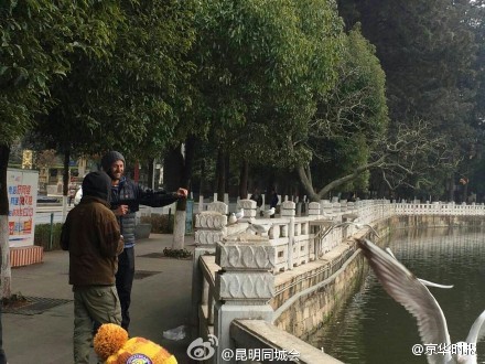 老外持枪打红嘴鸥