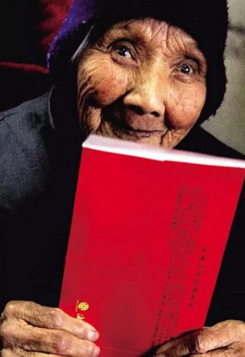 图片来自网络