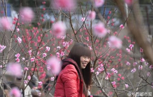 成都农家乐扎假桃花吸引游客