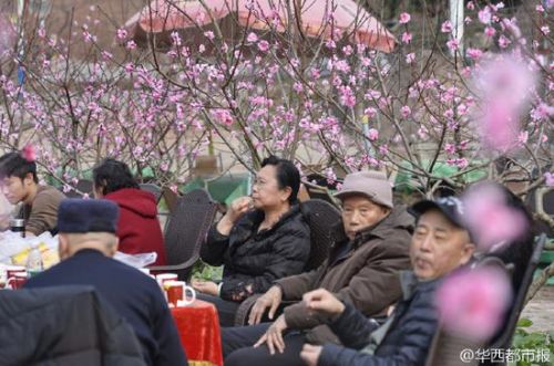 成都农家乐扎假桃花吸引游客