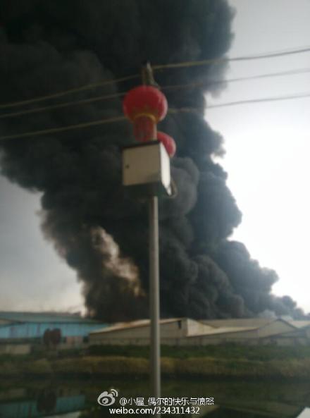 @小屋_偶尔的快乐与愤怒 8