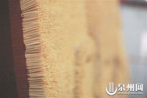 40万根牙签作画 尿毒症患者盼伯乐